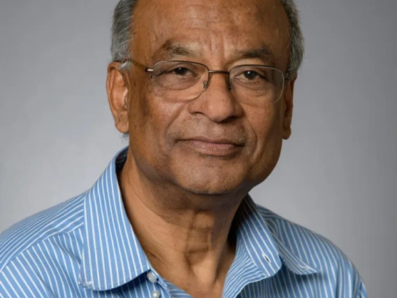 Sumit Mazumdar, Physics