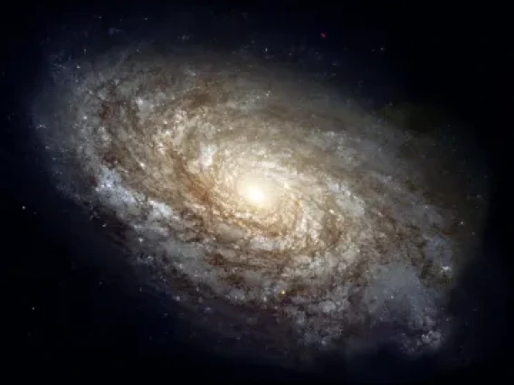 Cosmology