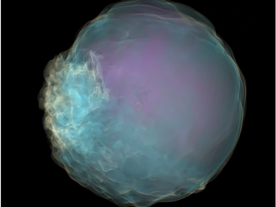 Carl Fields Image