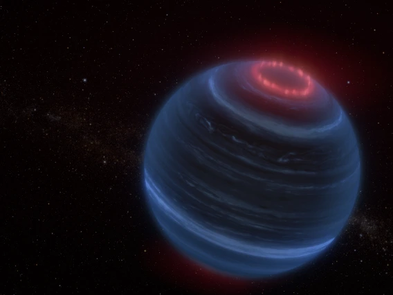 Brown Dwarf W1935 (Artist Concept)