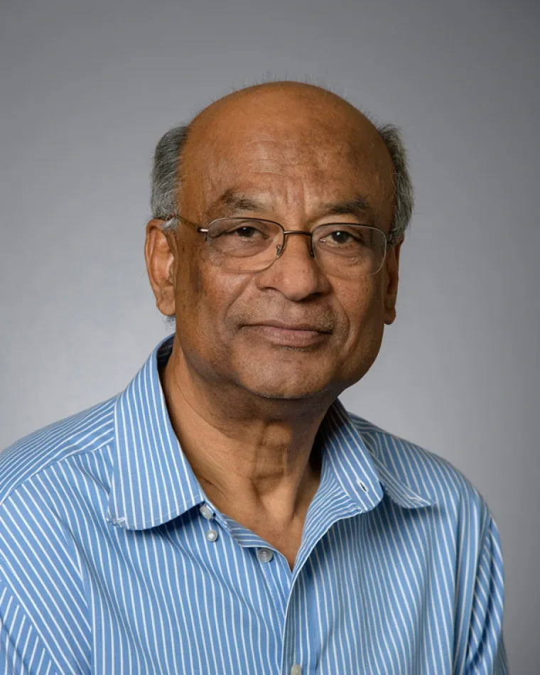 Sumit Mazumdar, Physics