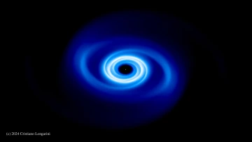 Cristiano Longarini Research Image